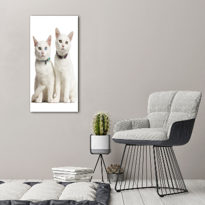 Tableau photo sur toile Deux chats blancs