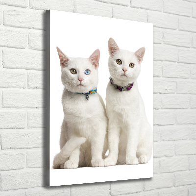 Tableau photo sur toile Deux chats blancs