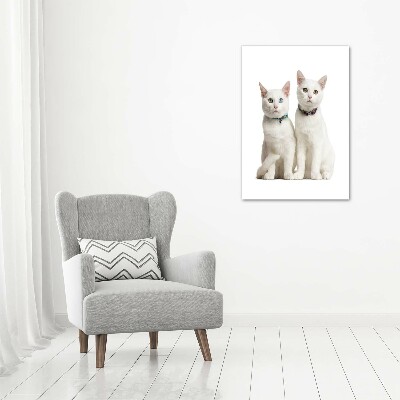 Tableau photo sur toile Deux chats blancs