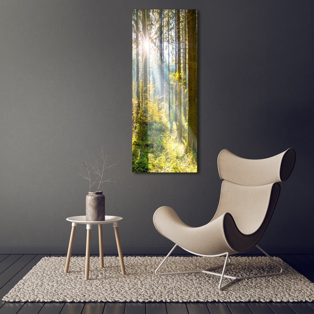 Tableau photo sur toile Le soleil dans la forêt