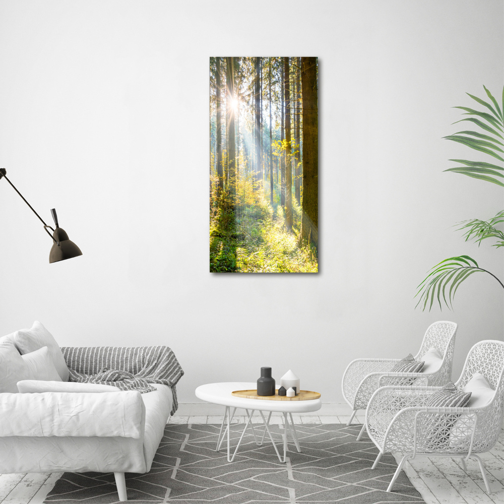 Tableau photo sur toile Le soleil dans la forêt