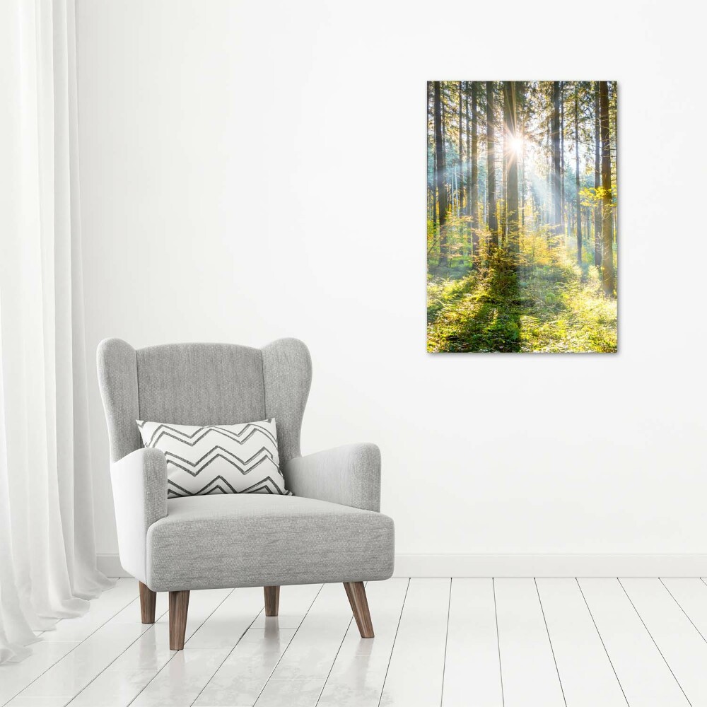 Tableau photo sur toile Le soleil dans la forêt