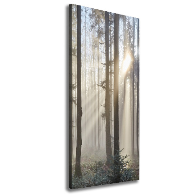 Tableau photo sur toile Brume dans la forêt