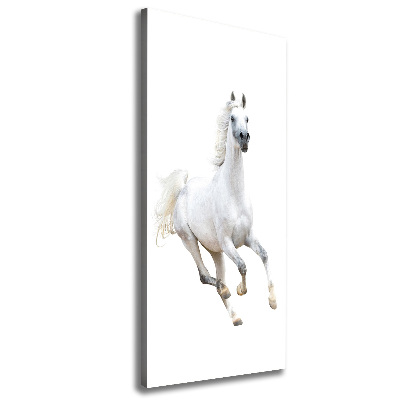 Tableau photo sur toile Cheval blanc au galop