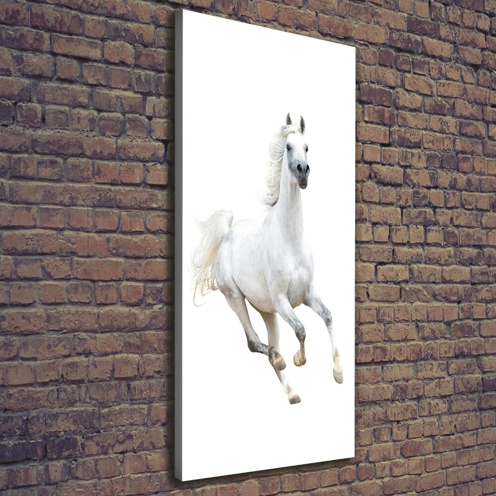 Tableau photo sur toile Cheval blanc au galop