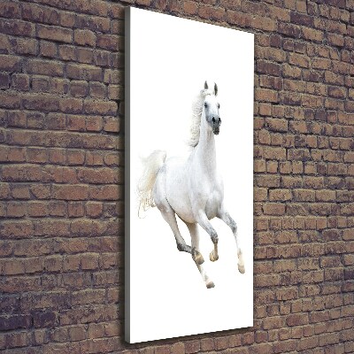 Tableau photo sur toile Cheval blanc au galop