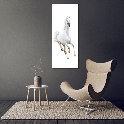 Tableau photo sur toile Cheval blanc au galop