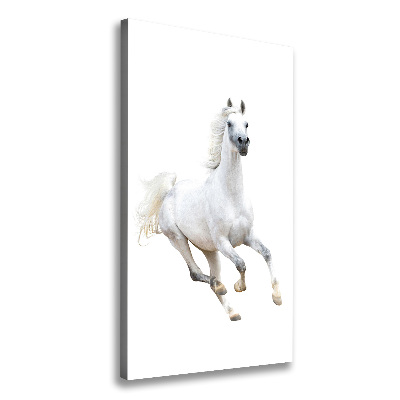 Tableau photo sur toile Cheval blanc au galop