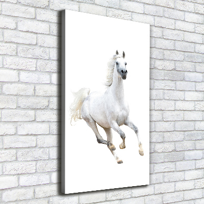 Tableau photo sur toile Cheval blanc au galop