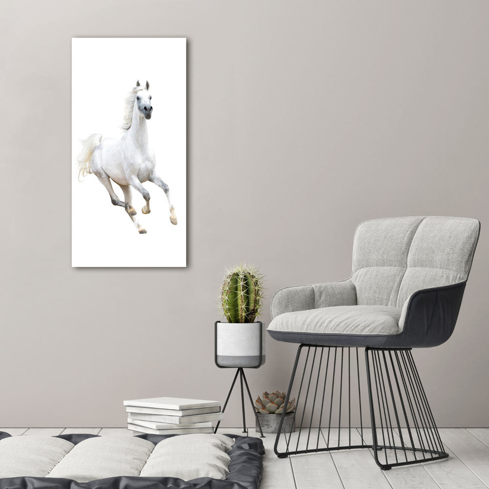 Tableau photo sur toile Cheval blanc au galop