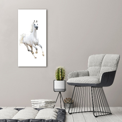 Tableau photo sur toile Cheval blanc au galop