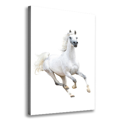 Tableau photo sur toile Cheval blanc au galop