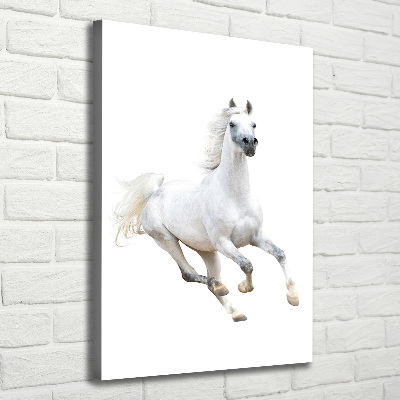 Tableau photo sur toile Cheval blanc au galop