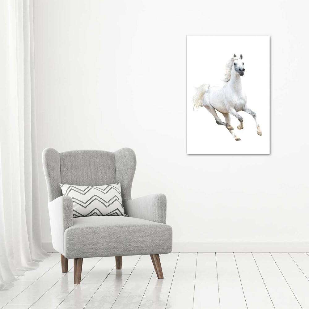 Tableau photo sur toile Cheval blanc au galop