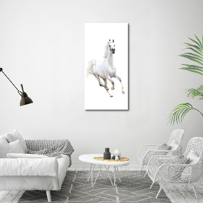 Tableau photo sur toile Cheval blanc au galop