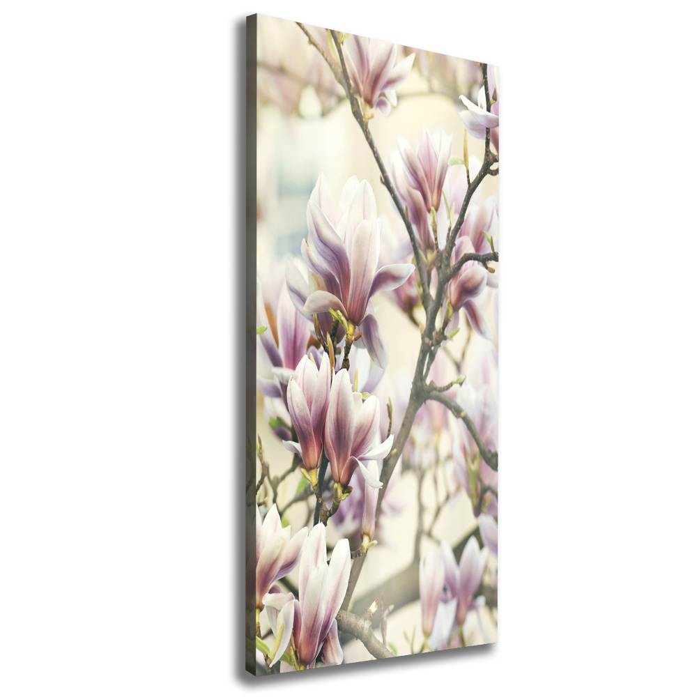 Tableau toile imprimée Fleur de magnolia