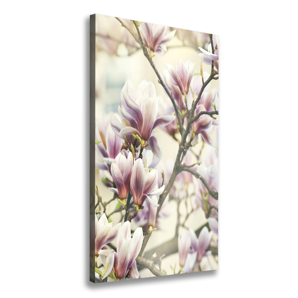 Tableau toile imprimée Fleur de magnolia