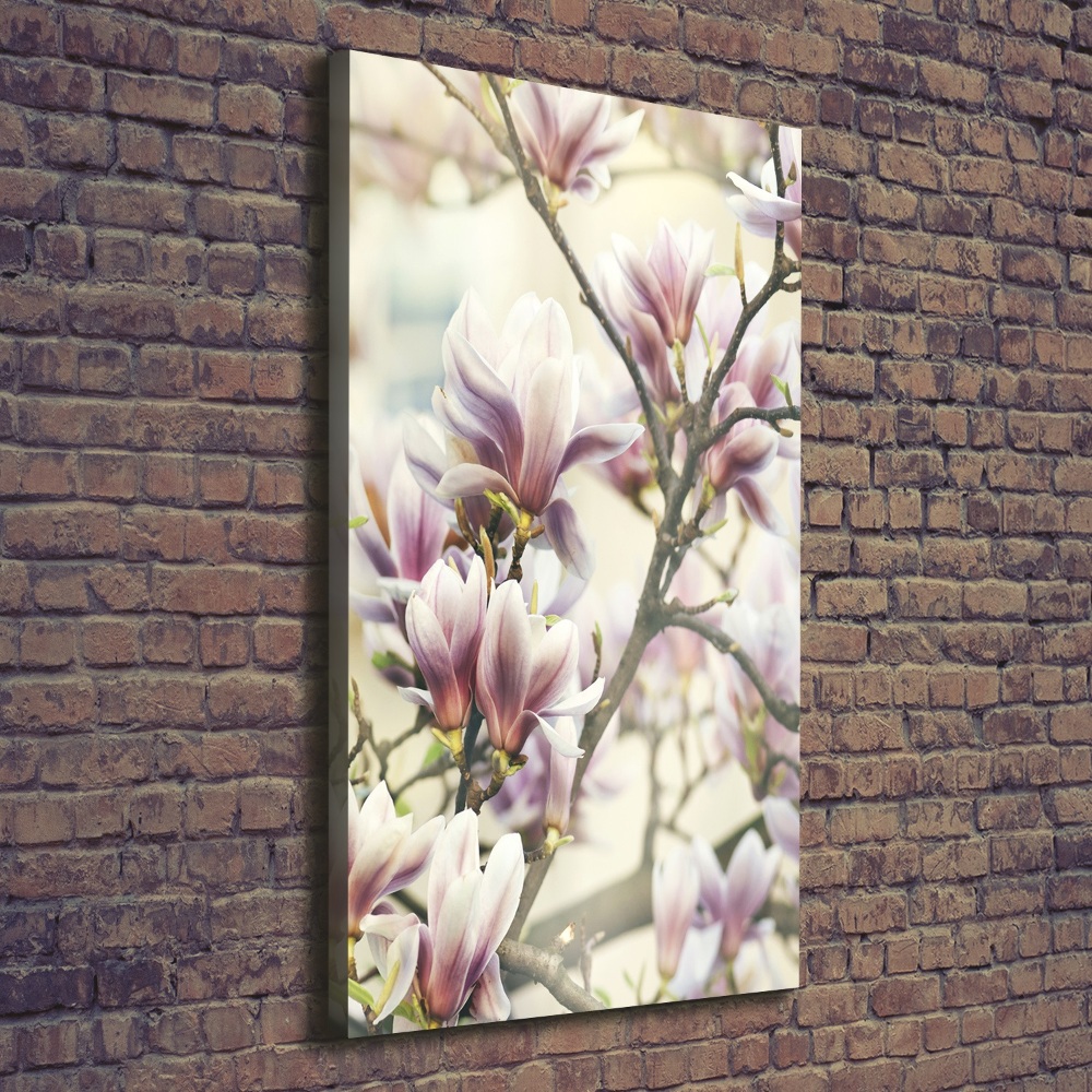 Tableau toile imprimée Fleur de magnolia