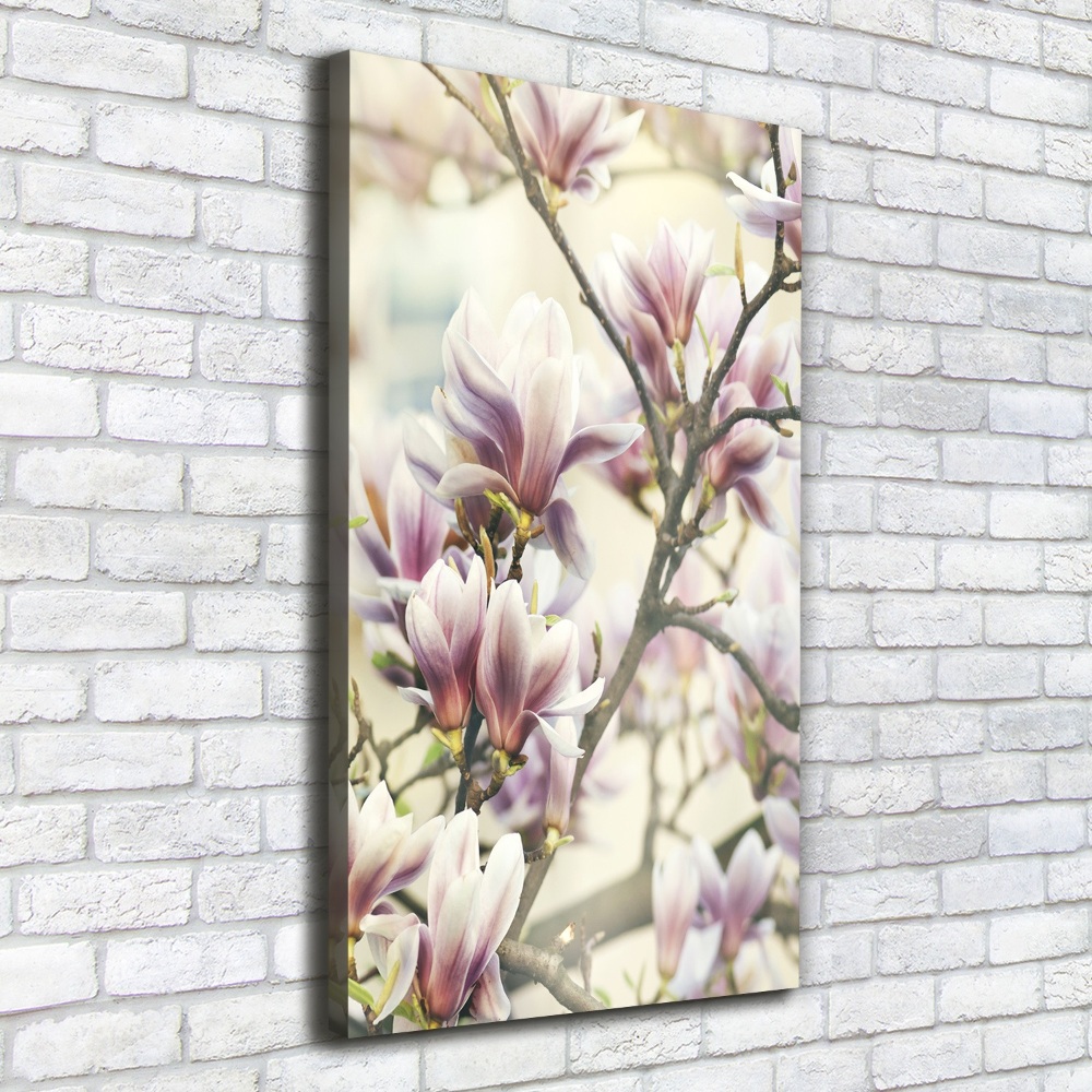 Tableau toile imprimée Fleur de magnolia