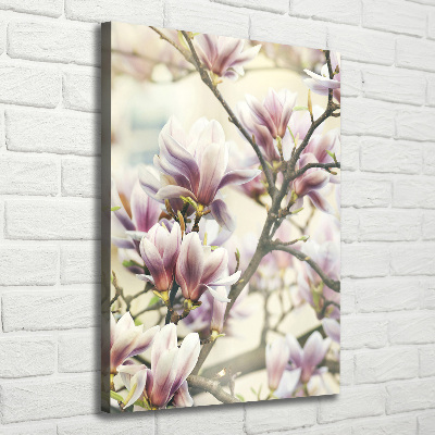 Tableau toile imprimée Fleur de magnolia