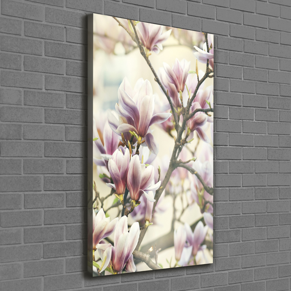 Tableau toile imprimée Fleur de magnolia