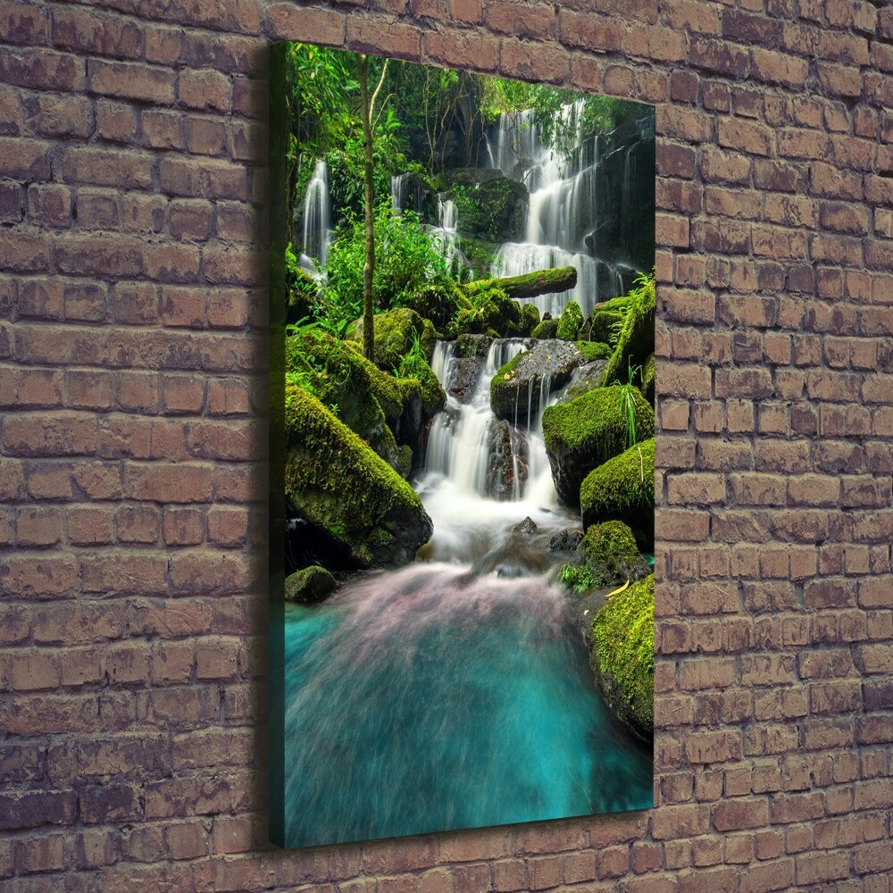 Tableau imprimé sur toile Chute d'eau dans la jungle