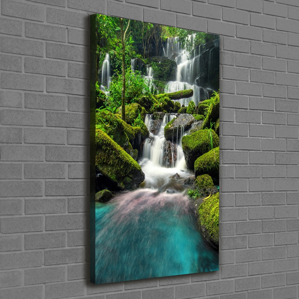 Tableau imprimé sur toile Chute d'eau dans la jungle