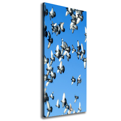 Tableau mural sur toile Pigeons dans le ciel