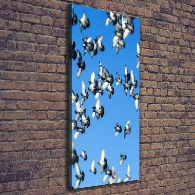 Tableau mural sur toile Pigeons dans le ciel