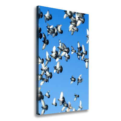 Tableau mural sur toile Pigeons dans le ciel