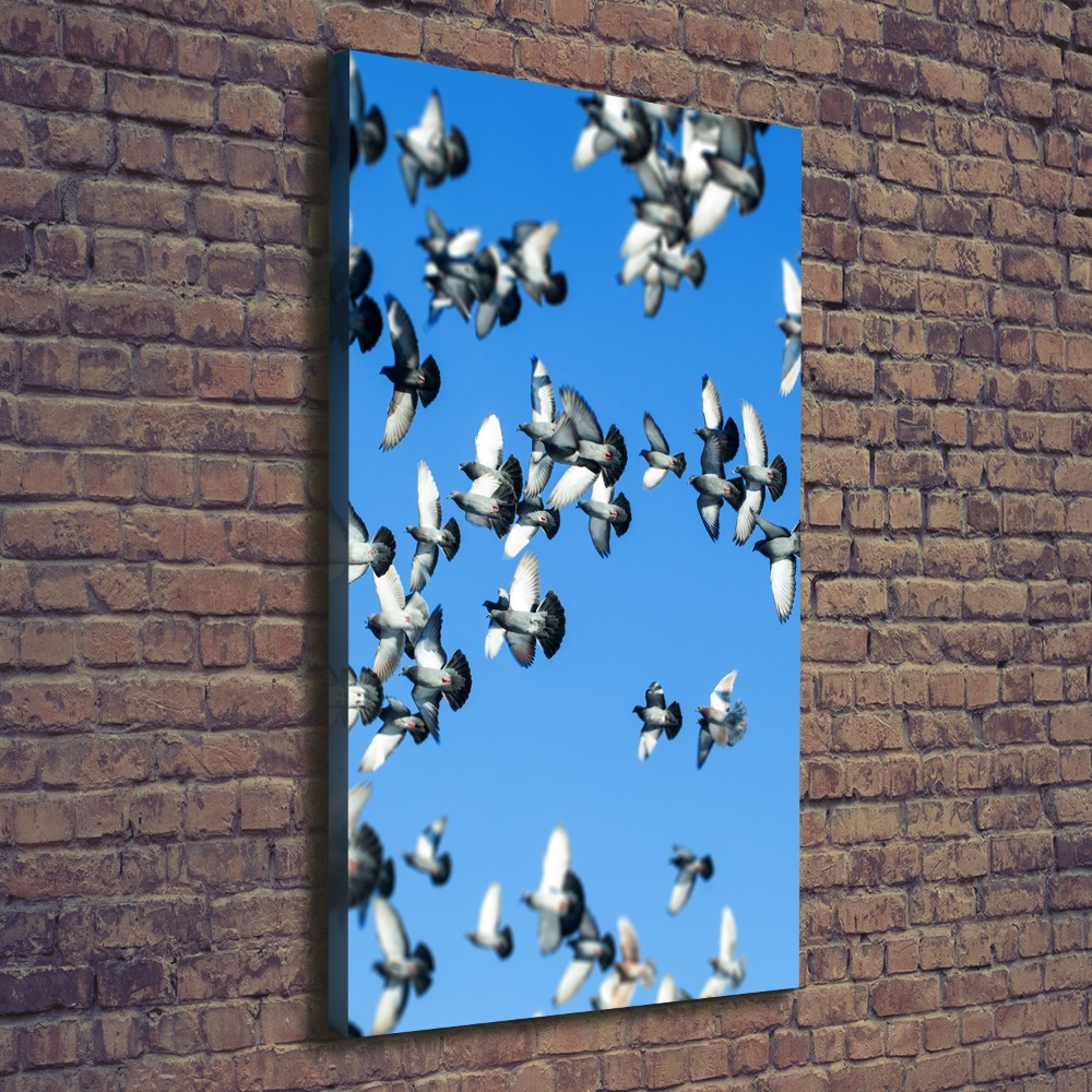 Tableau mural sur toile Pigeons dans le ciel