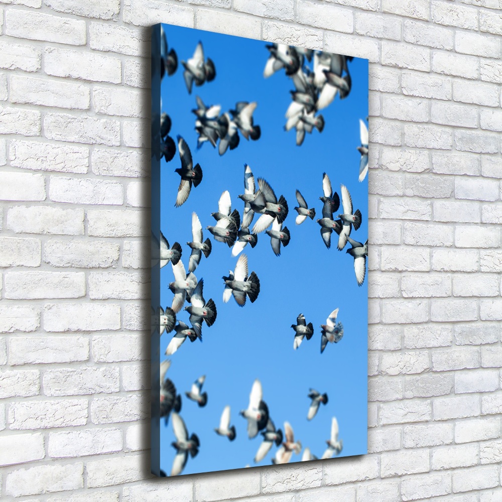 Tableau mural sur toile Pigeons dans le ciel