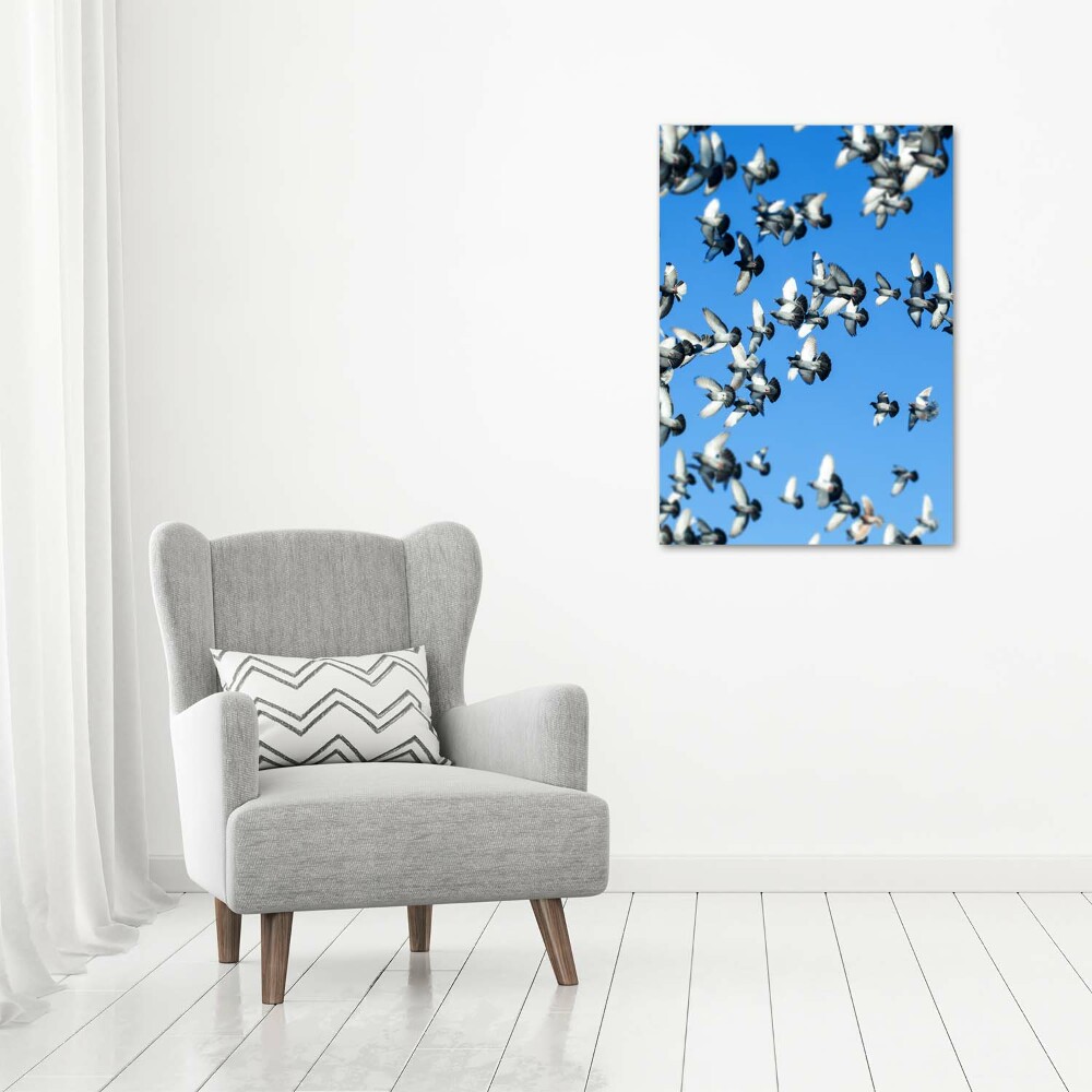 Tableau mural sur toile Pigeons dans le ciel