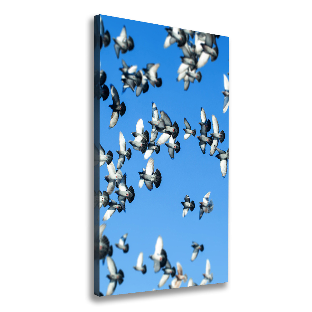 Tableau mural sur toile Pigeons dans le ciel