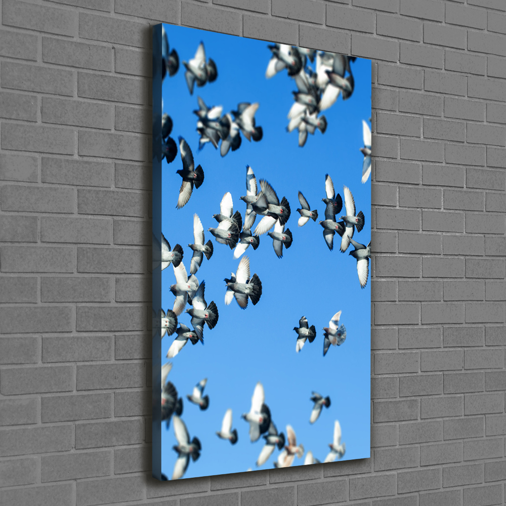 Tableau mural sur toile Pigeons dans le ciel