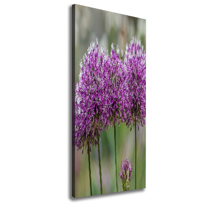 Tableau photo sur toile Fleurs d'ail