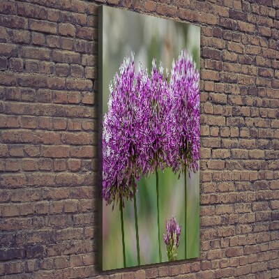 Tableau photo sur toile Fleurs d'ail