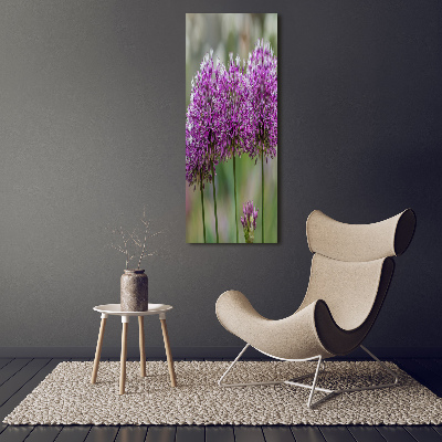 Tableau photo sur toile Fleurs d'ail