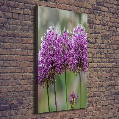 Tableau photo sur toile Fleurs d'ail