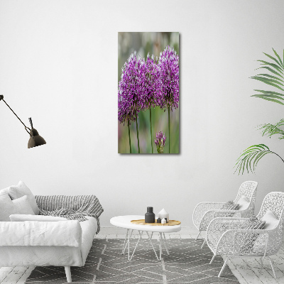 Tableau photo sur toile Fleurs d'ail