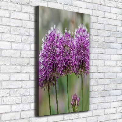 Tableau photo sur toile Fleurs d'ail