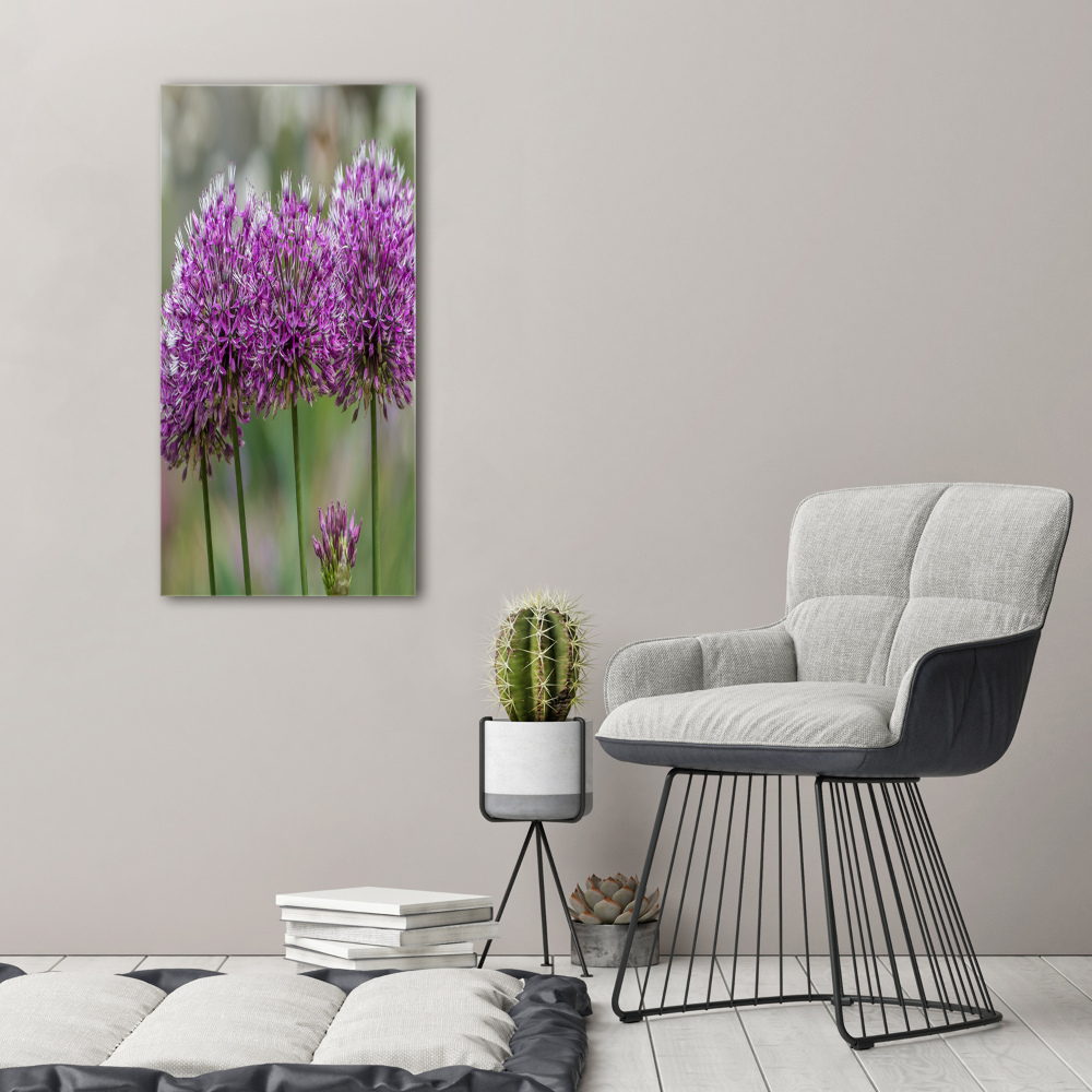 Tableau photo sur toile Fleurs d'ail