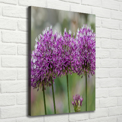 Tableau photo sur toile Fleurs d'ail