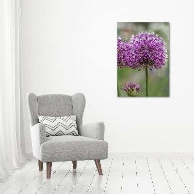 Tableau photo sur toile Fleurs d'ail