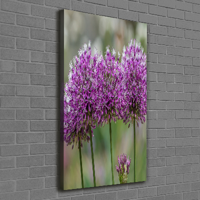 Tableau photo sur toile Fleurs d'ail