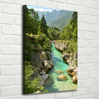 Tableau toile imprimée Ruisseau de montagne