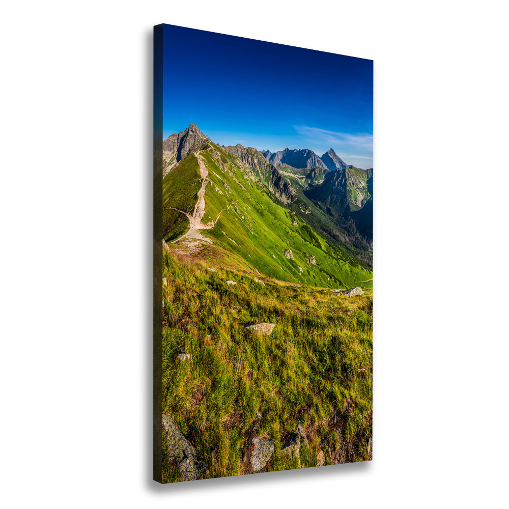 Tableau photo sur toile Montagnes des Tatras