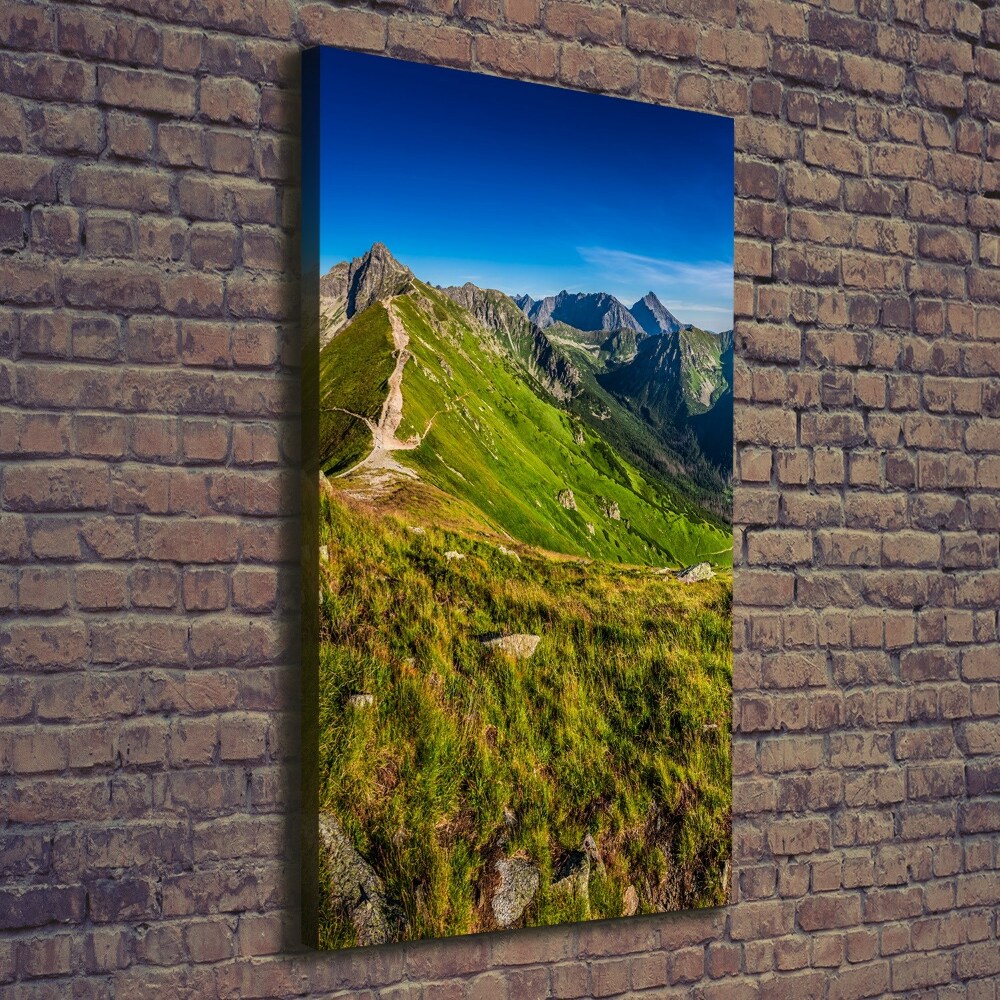 Tableau photo sur toile Montagnes des Tatras