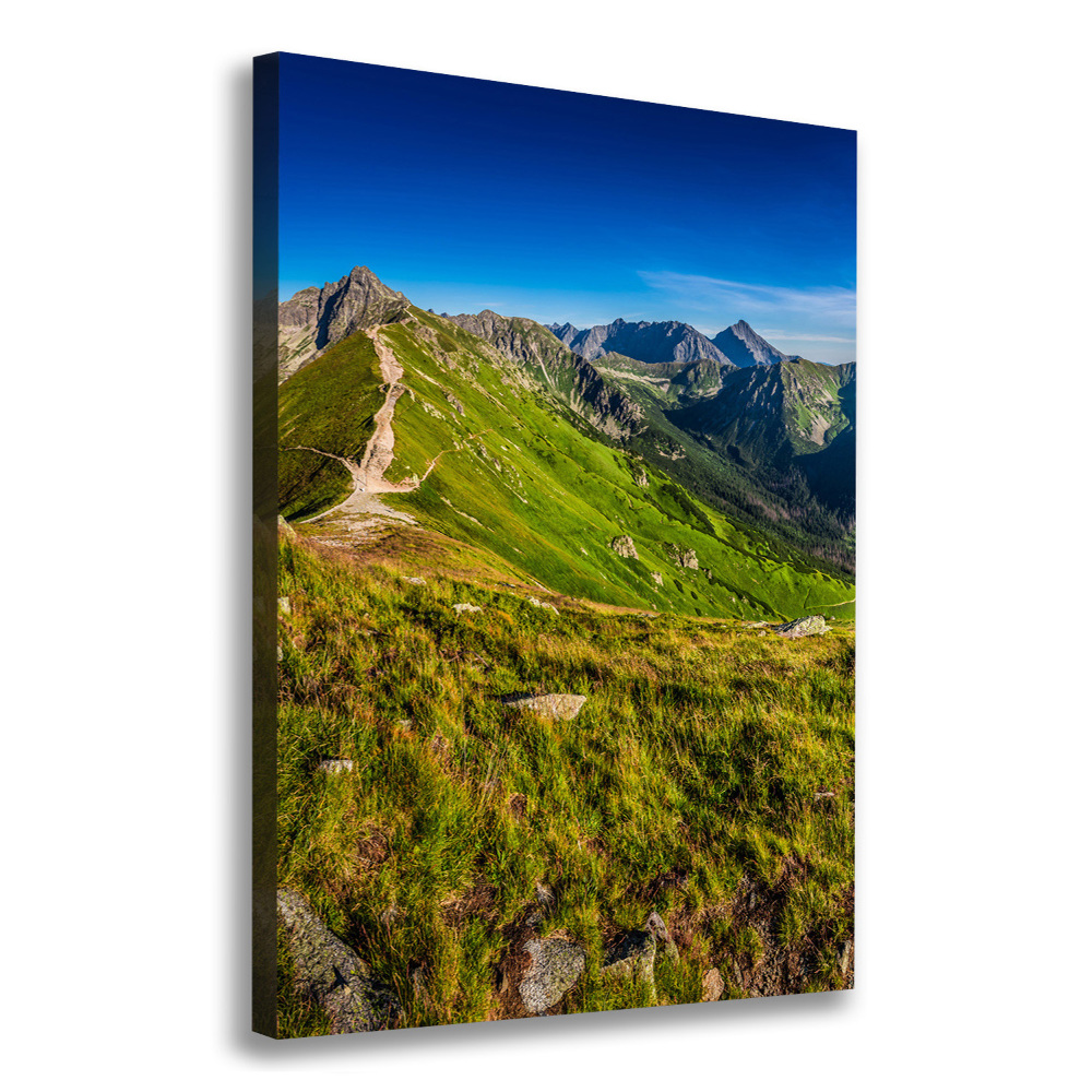 Tableau photo sur toile Montagnes des Tatras