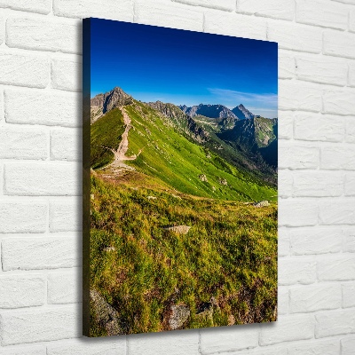 Tableau photo sur toile Montagnes des Tatras